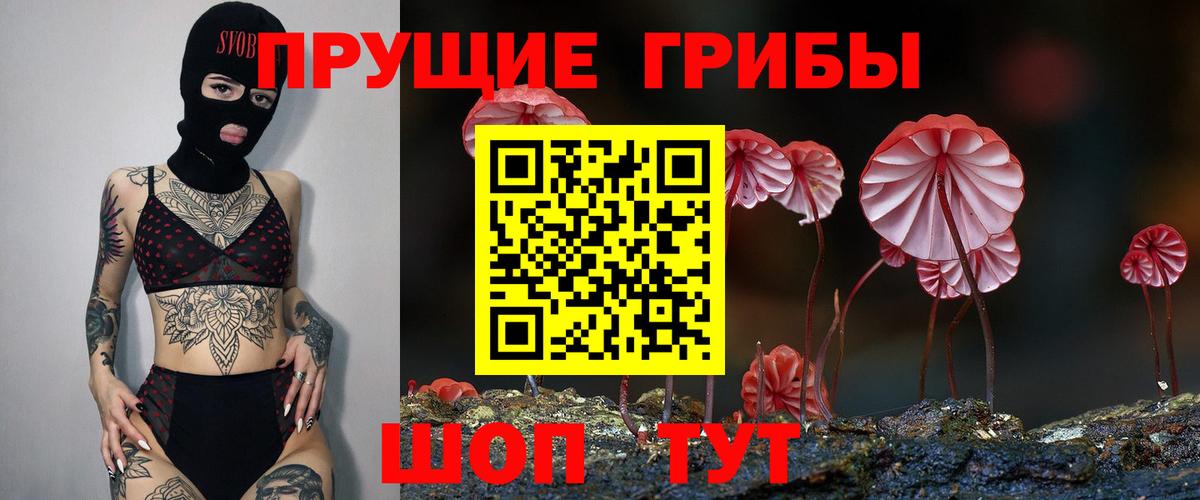 Воскресенск  купить закладку  Вход с VPN  Псилоцибиновые грибы Magic Shrooms 